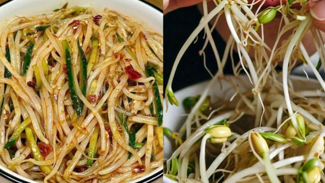 食谱：凉拌酸辣豆芽