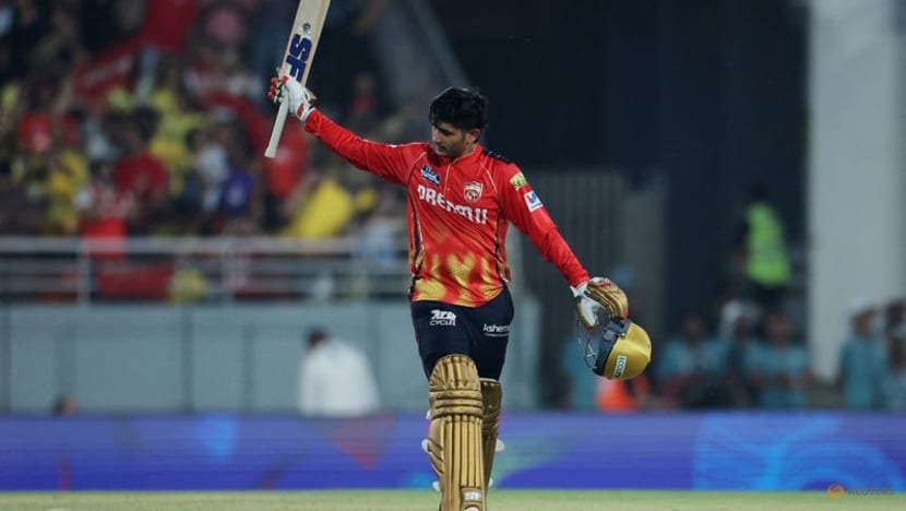 State leagues prove to be talent hotbed for Indian Premier League