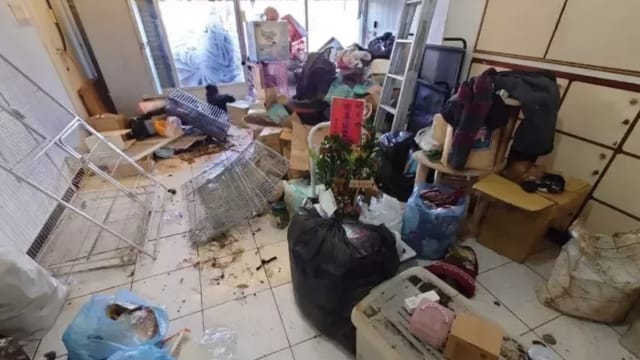 房屋地上一堆皮毛血水 台湾女子疑遗弃饿死猫狗