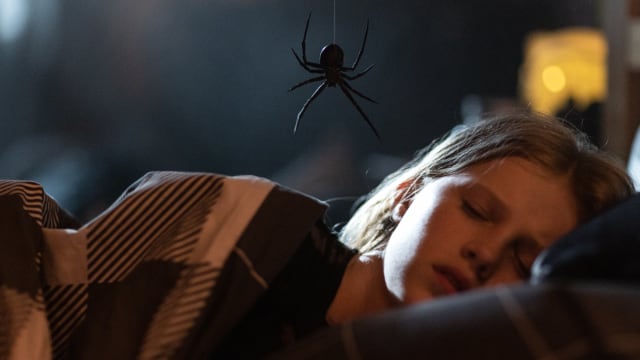 新片上映：Sting