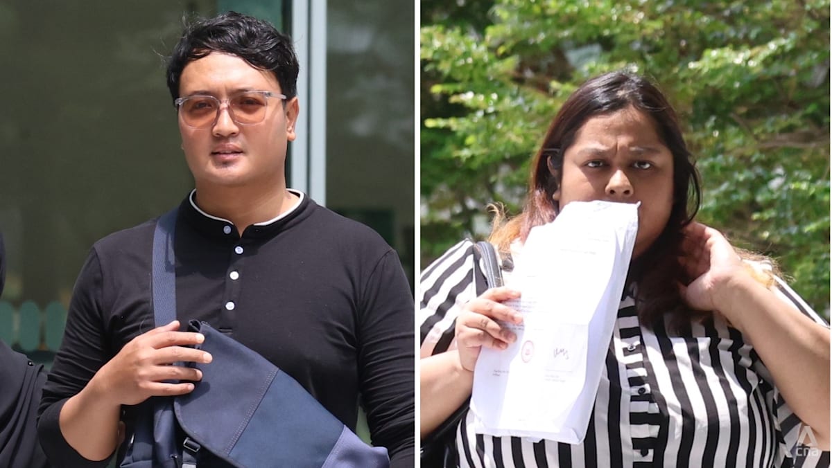 Duo charged over alleged neglect of 71 cats; 9 died in Bukit Panjang flat