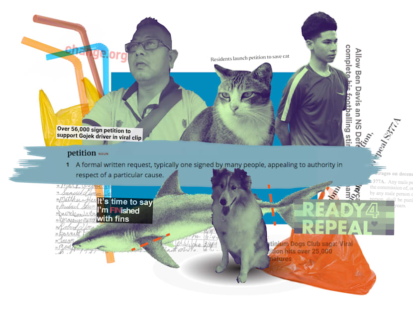 The Big Read: Online petitions — just 'noise' and attention-seeking, or a way for citizens to make themselves heard?