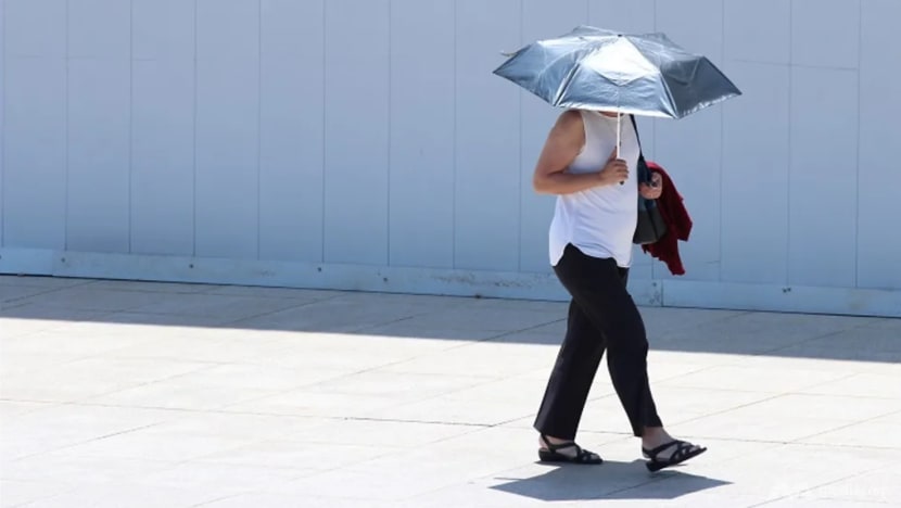 More warm days in the first two weeks of November: Met Service