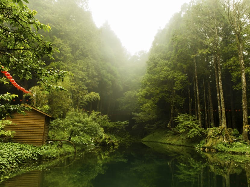 Top 3 places to go for fresh air