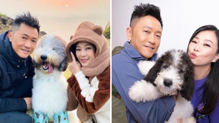 Edmond So’s Wife Winnie Lau, Who Calls Herself An Animal Lover, Sparks Outrage For Promoting Dog Repeller