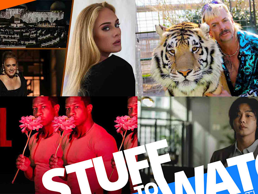 Stuff To Watch This Week (Nov 15-21, 2021)