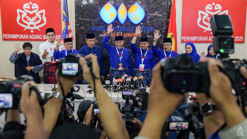 UMNO stresses support for PM Anwar’s unity government despite going solo in Johor, Negeri Sembilan state polls