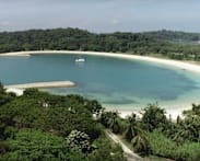 Fatal Southern Islands boat collision: Tower Transit pays tribute to long-serving colleague