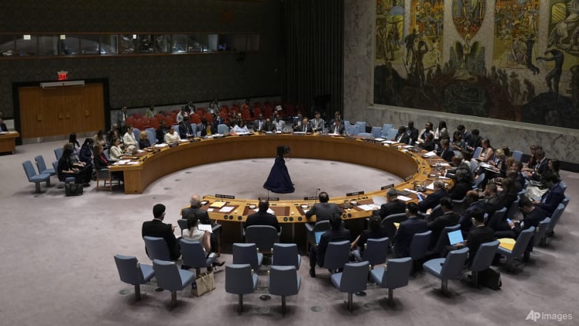 Finland's president wants end of single state veto at UN Security Council Finland's president wants end of single state veto at UN Security Council