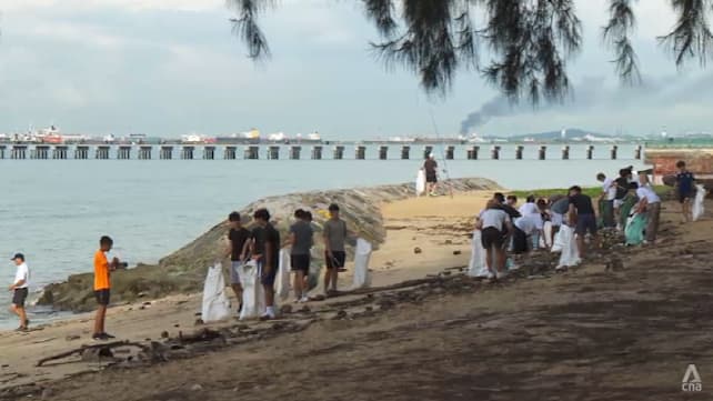 Growing numbers of volunteers tackle trash on Singapore's beaches