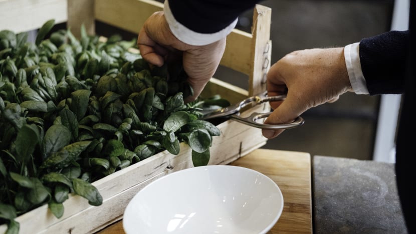 High-tech vertical farms to begin operations next year and bring fresher leafy greens to S’poreans’ plates