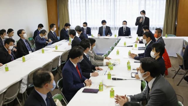 日本自由民主党 批准动用武器对付侵犯日领空飞行物体