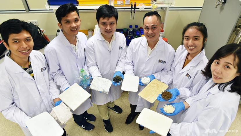 A made-in-Singapore solution to the world's plastic waste problem