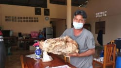Related article image