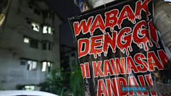 Related article image