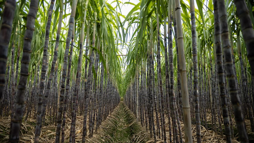 Related article image