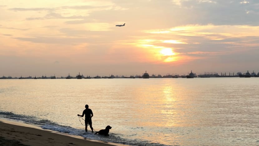 Rising sea levels to affect property values? Not if the Govt has solutions planned, say analysts