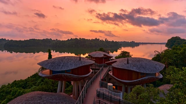 城市中的一片净土！Mandai Rainforest Resort 2025年4月开张，入住雨林悬浮树屋，感受大自然疗愈力量
