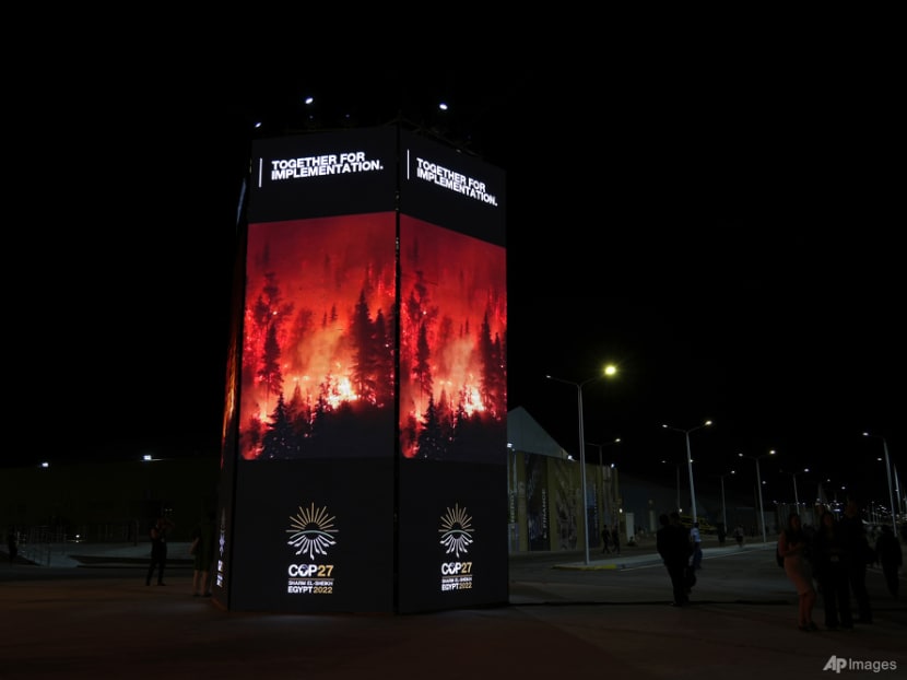 COP27: Organisers launch global plan to drive climate change adaptation this decade