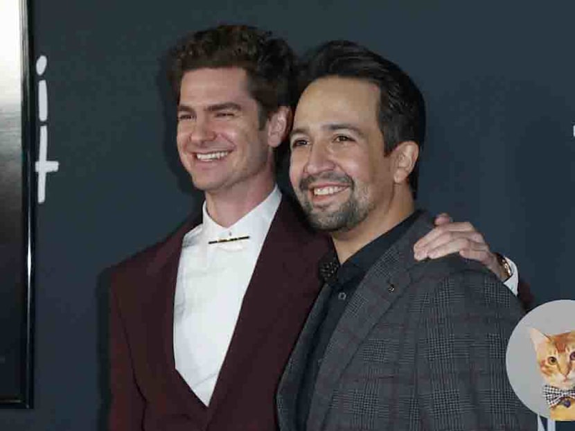 Check Out Lin-Manuel Miranda&rsquo;s Reaction When My Cat Crashes Tick, Tick&hellip; BOOM! Zoom Interview