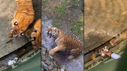 Related article image