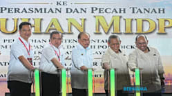Related article image