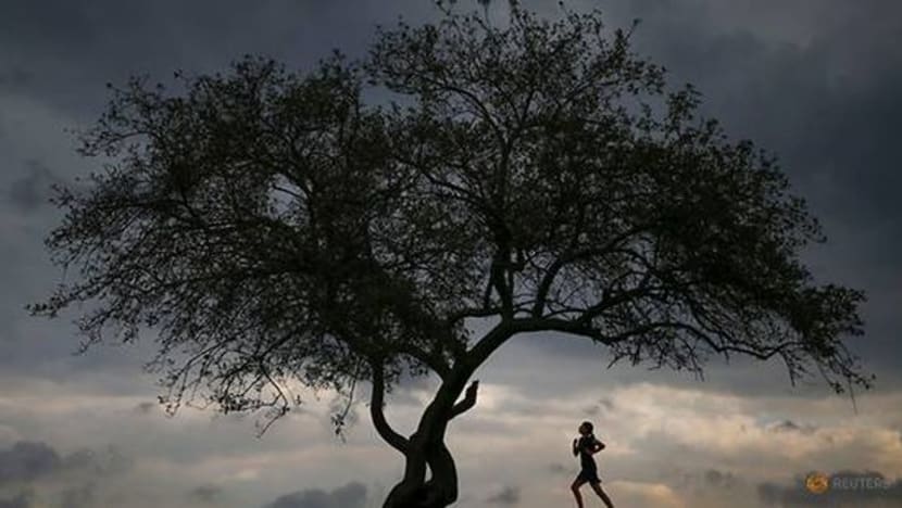 Related article image
