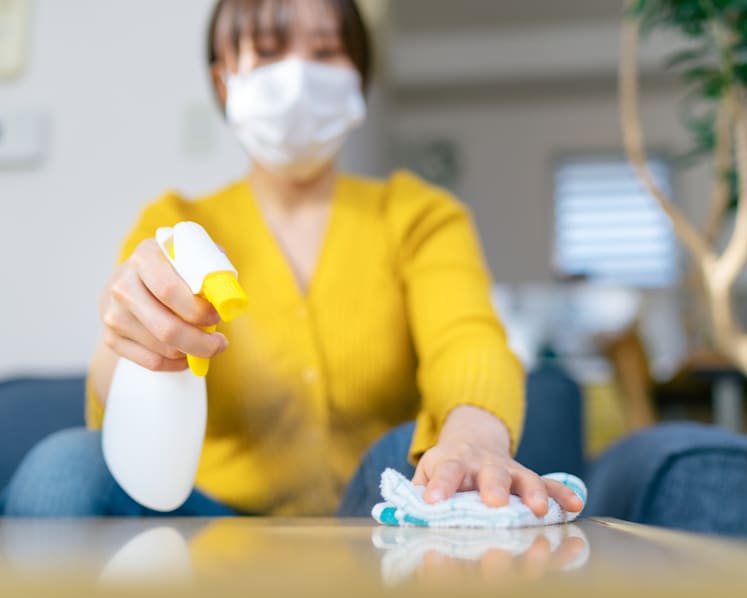 Sanitation nation: How COVID-19 created a home hygiene boom