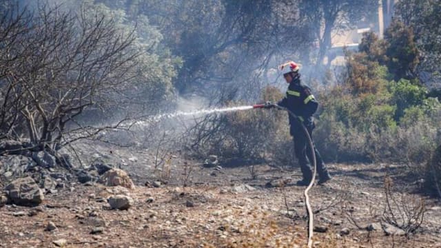 希腊山火逼近海滨度假区 逾300名消防员全力灌救