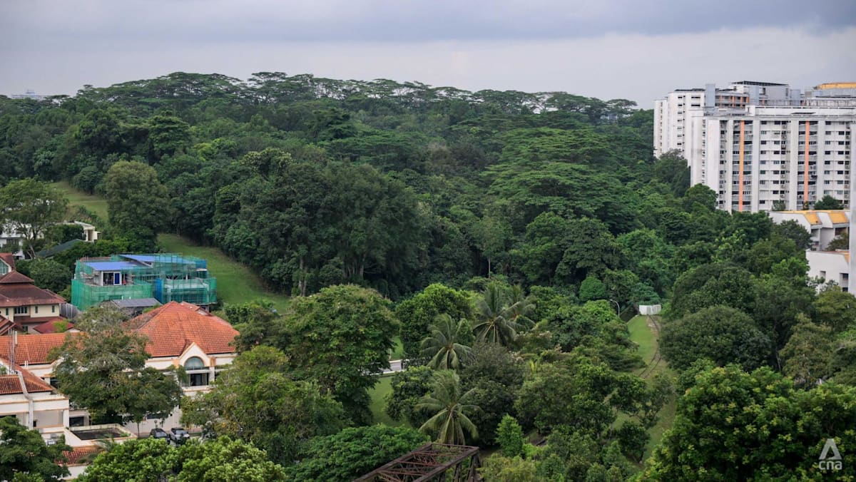 More greenery retained, fewer homes set to be built at Maju Forest, Gillman Barracks after public feedback