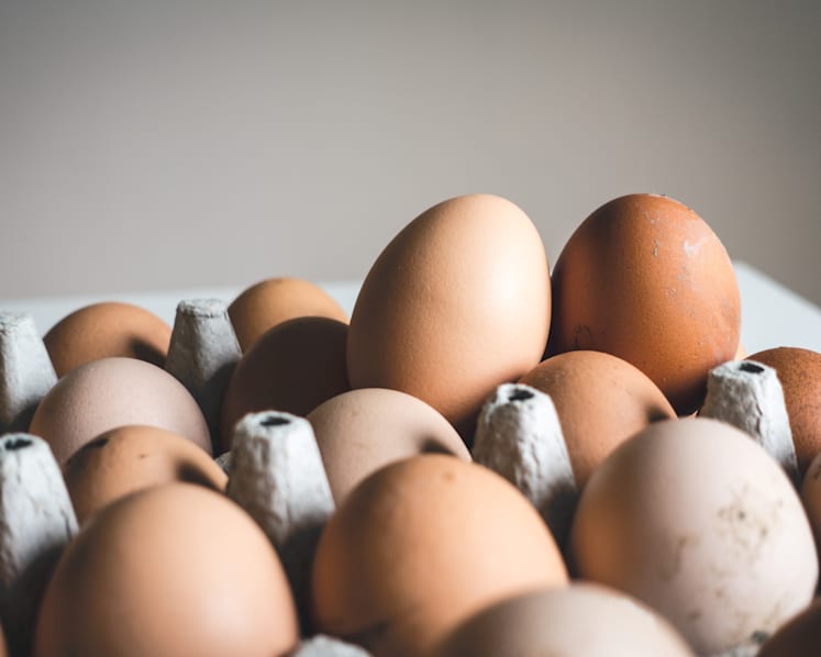 Singapore recalls eggs from another Malaysian farm due to Salmonella bacteria