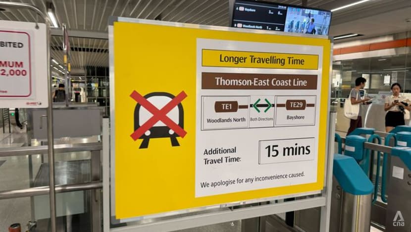 LTA and train operators to form rail reliability task force to address service disruptions