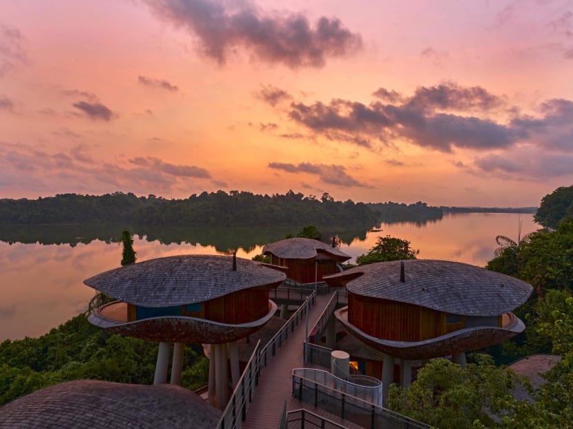 Mandai Rainforest Resort by Banyan Tree to open in April 2025 Mandai Rainforest Resort by Banyan Tree to open in April 2025