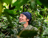 Hot demand, shrinking harvests: Thai coffee faces boom and doom paradox
