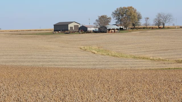 美国称中国正按计划采购美国大豆