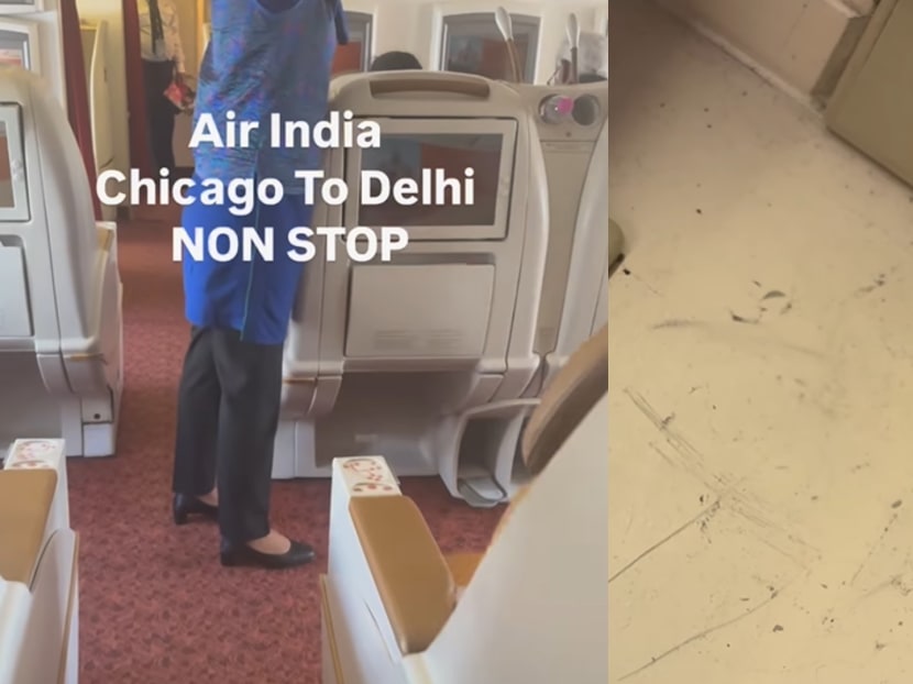 'The worst first class cabin': Indian-American CEO calls Air India flight a 'nightmare'