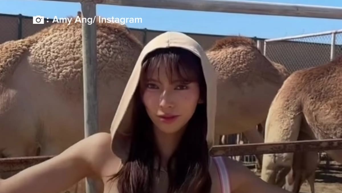 Amy Ang took to Instagram to share how she is coping with - 8days