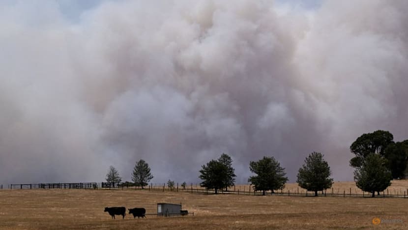 Australia heatwave raises bushfire threat as Melbourne braces for hottest day in 17 years