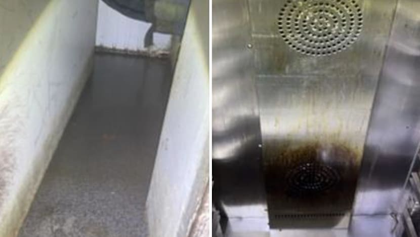 Stamford Catering Services fined S$8,000 after dozens fell ill in 2024 and 2025