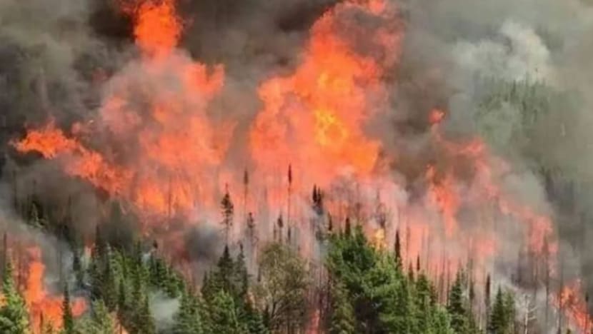 Kes kebakaran tempat terbuka di Johor meningkat sejak pertengahan Feb