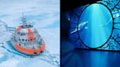 Science Centre Singapore to debut immersive ocean exhibition One Ocean: Every Action Ripples