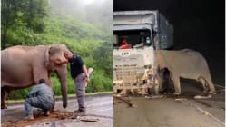 Related article image