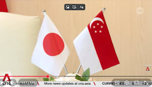 Singapore to elevate partnership with Japan, amid 60 years of ties: Sim Ann