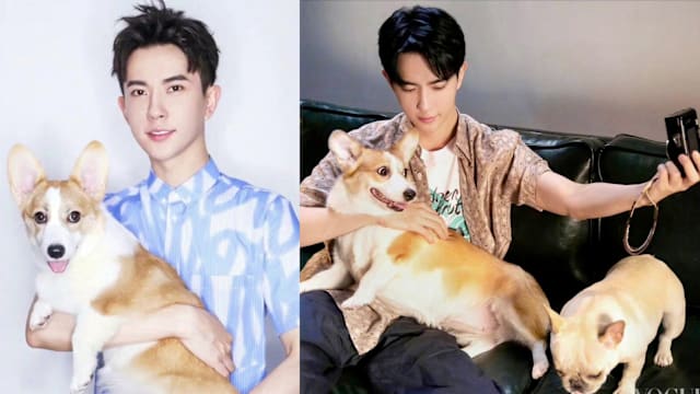于朦胧离世，编剧好友揭2爱犬下落