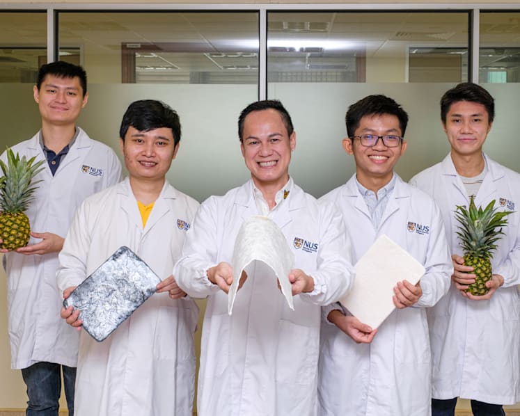 NUS researchers use pineapple leaves to preserve fruits, remove toxic metals from wastewater