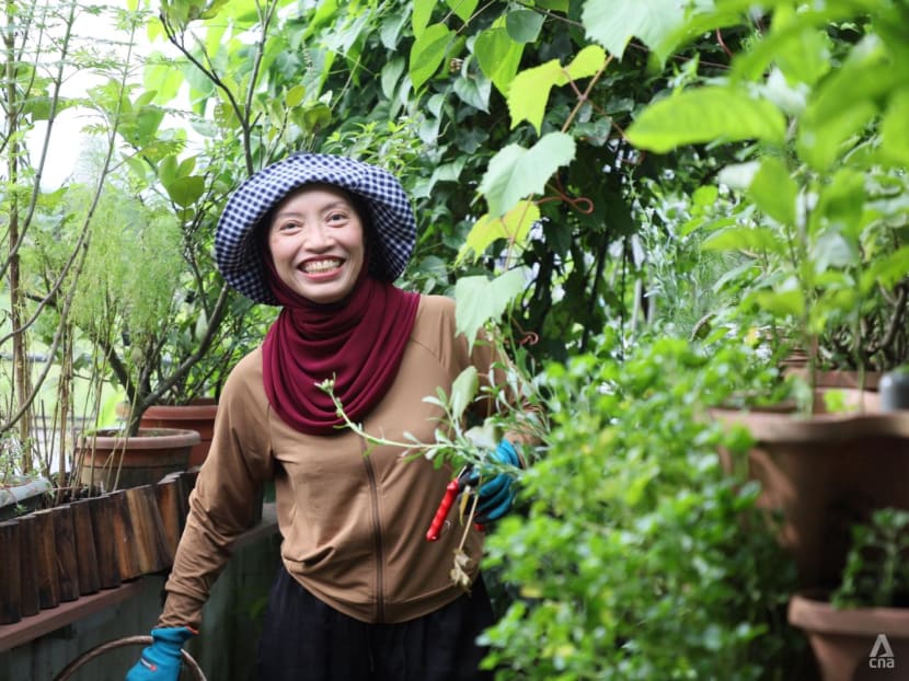 From Our Backyard: The family doctor and her favourite moringa tree that yields tasty and healthy dishes From Our Backyard: The family doctor and her favourite moringa tree that yields tasty and healthy dishes