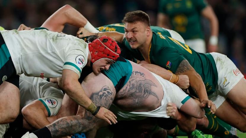 Erasmus pleased to get Irish monkey off South Africa's back