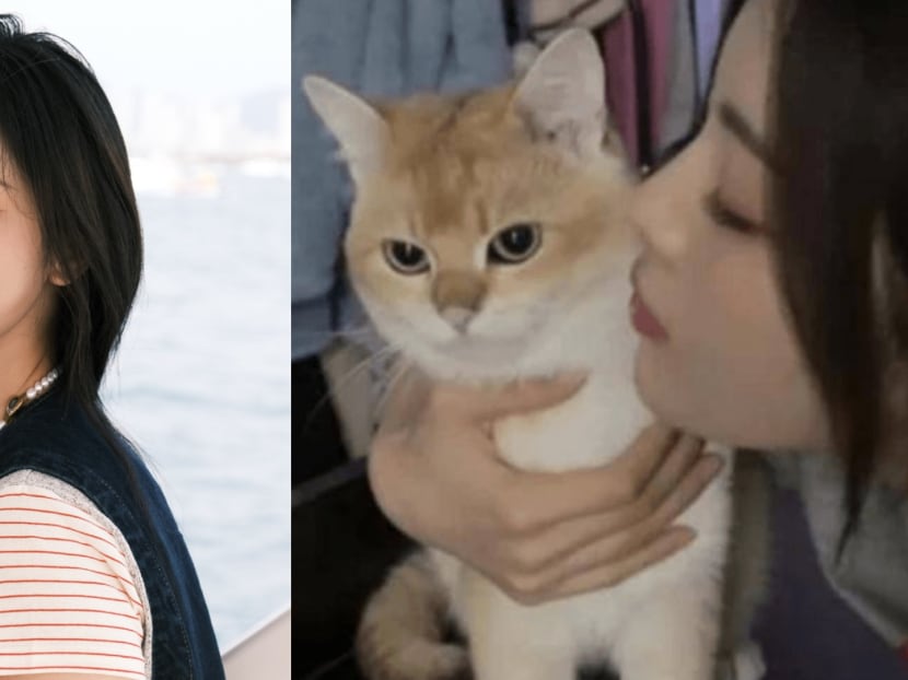 Chinese actress Yang Chaoyue accused of abandoning her pets after she casually said one of her cats has gone 'gallivanting' and has no idea where he is Chinese actress Yang Chaoyue accused of abandoning her pets after she casually said one of her cats has gone 'gallivanting' and has no idea where he is