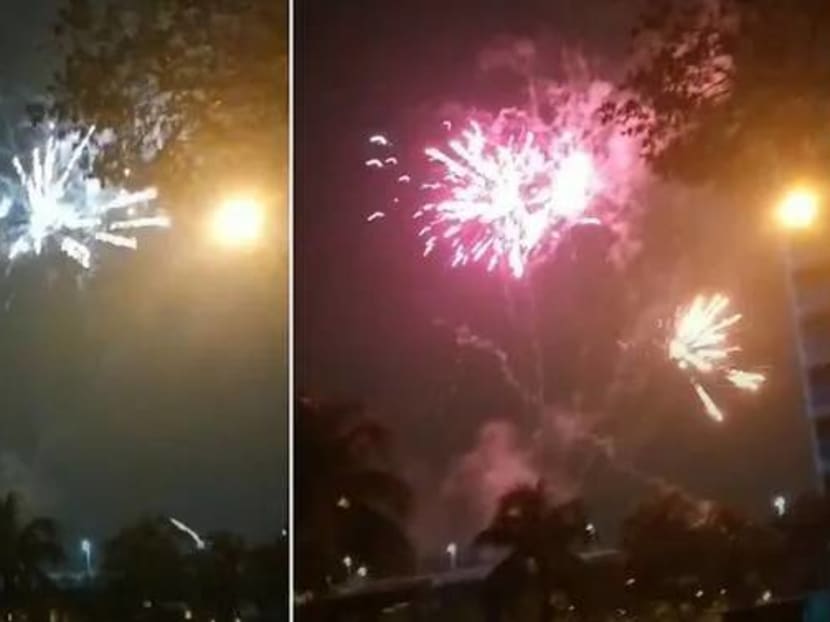Police investigating second case of fireworks over Deepavali weekend ...