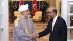 Related article image